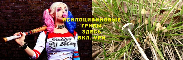 прущая мука Нефтегорск