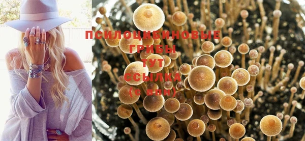 герыч Ступино