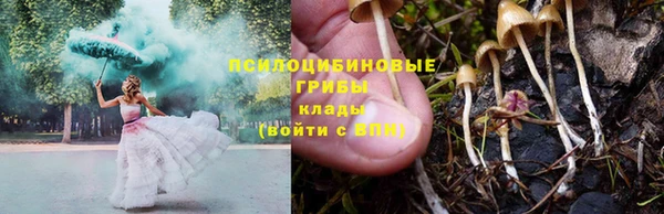 герыч Ступино